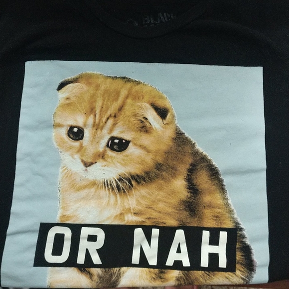 Cat Graphic Tee Or Nah - Picture 3 of 4